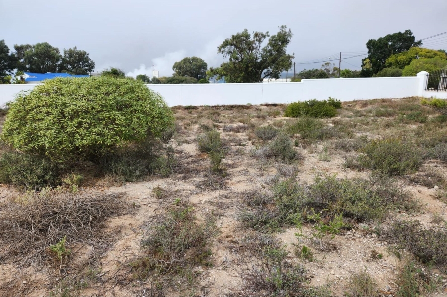 0 Bedroom Property for Sale in Shelley Point Western Cape